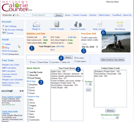 First Calorie Counter Website: 2008